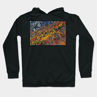 Foliage - Lake Willoughby, Vermont Hoodie